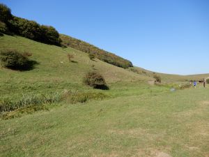 image138